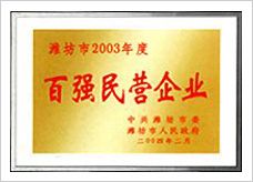 百強(qiáng)民營企業(yè)